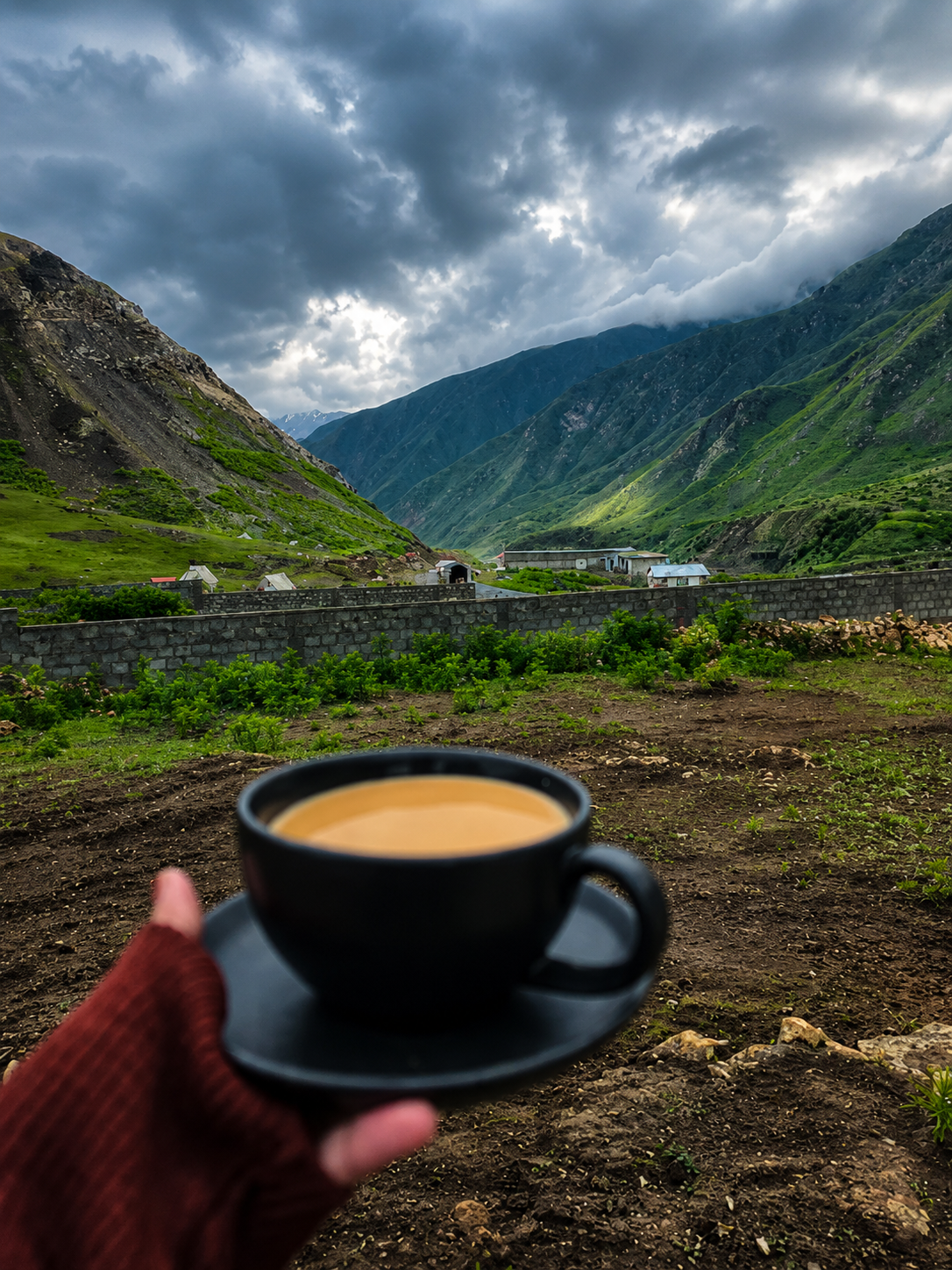 High-Altitude Tea Experience